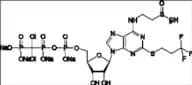 Cangrelor Sulfoxide Tetrasodium Salt