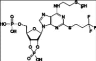 Cangrelor Impurity 13
