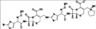Cefepime dimer