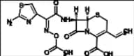 Cefdinir Impurity 22