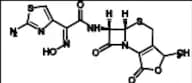 Cefdinir Impurity 5