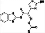 Cefdinir Impurity 13
