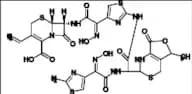Cefdinir Impurity 14