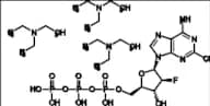 Clofarabine Triphosphate Tri(triethylamine) Salt