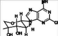 Clofarabine Related Compound 3