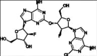 Clofarabine Related Compound 5