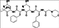 Carfilzomib