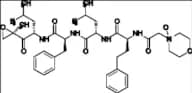 Carfilzomib N-Oxide