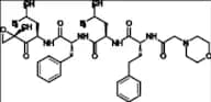 Carfilzomib Impurity 11