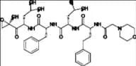 Carfilzomib Impurity 23
