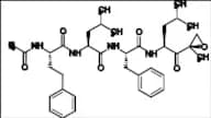 Carfilzomib Impurity 57