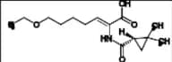 Cilastatin Impurity 25