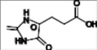 racemic-Carglumic Acid Impurity A (3-(2,5-Dioxoimidazolidin-4-yl)propanoic Acid)