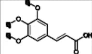 Cinepazide Impurity 6