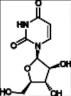 Cytarabine EP Impurity A (Uracil Arabinoside)