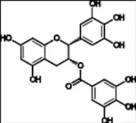 (-)-Epigallocatechin Gallate (EGCG)