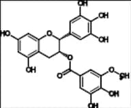 Epigallocatechin 3-O-(3-O-Methyl)-Gallate