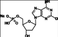 Cladribine Phosphate