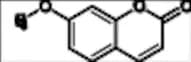 7-Methoxy Coumarin