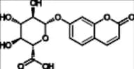 7-Hydroxycoumarin Glucuronide