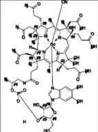 Cyanocobalamin (Vitamin B12)
