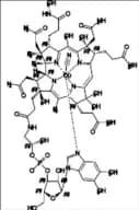 Cyanocobalamin EP Impurity C