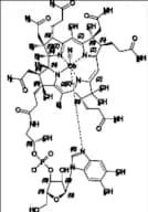 Cyanocobalamin EP Impurity E