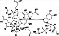 Cyanocobalamin EP Impurity D