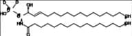 C16-Ceramide-13C2-d2