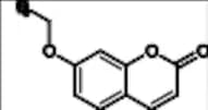 7-Ethoxy Coumarin
