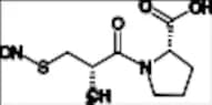 S-Nitroso Captopril