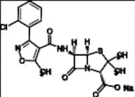 Cloxacillin Sodium Salt