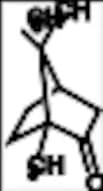 Camphor