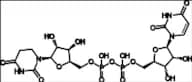 P1, P2-Di(Uridine-5')-Diphosphate