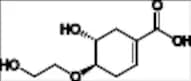 2-Methylcyclohexanone