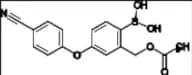 Crisaborole Impurity 22