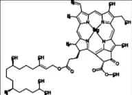 Chlorophyll a