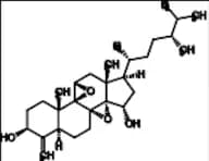 Conicasterol F