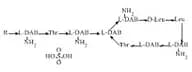 Colistin Sulfate (Mixture of A and B compound)