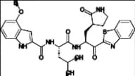 SARS-CoV 3CL Inhibitor 1