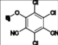 2,4,5-Trichloro-6-Methoxyisophthalonitrile