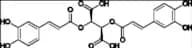 Chicoric Acid