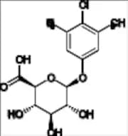 Chloroxylenol O-Glucuronide