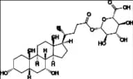 Chenodeoxycholic Acid 24-Acyl-ß-D-Glucuronide