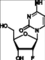2’-Deoxy-2’-fluoro Cytidine