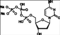 2'-Deoxycytidine 5'-Triphosphate Disodium Salt