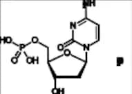 2'-Deoxycytidine 5'-Monophosphate Hydrate