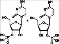 Cytidine 3’(2’)-Monophosphate