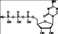 5-Azacytidine 5'-Triphosphate Tetraoctylamine