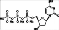 2’-Deoxycytidine-5’-triphosphate Trisodium Salt